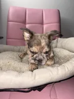 processed/4620103e-f89a-4298-af4c-58437d47d150/listing/0f224a2a-11f8-4848-b2d2-2380620ef5ec/fe8743d6-4a8d-4c94-b3e8-348e7f83478a