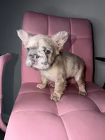 processed/4620103e-f89a-4298-af4c-58437d47d150/listing/c7da752e-d21e-4280-8ff3-3fc86e7e6fa0/04676b32-d234-4a65-97bb-a3263a04cf71