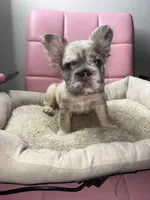 processed/4620103e-f89a-4298-af4c-58437d47d150/listing/c7da752e-d21e-4280-8ff3-3fc86e7e6fa0/1267dcce-5577-44d6-9aa8-87e192d39b96