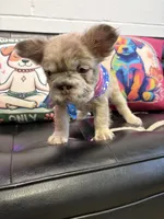 processed/4620103e-f89a-4298-af4c-58437d47d150/listing/c7da752e-d21e-4280-8ff3-3fc86e7e6fa0/22d3a49c-d746-4dfc-9e80-c4a514062a8e