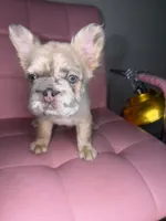 processed/4620103e-f89a-4298-af4c-58437d47d150/listing/c7da752e-d21e-4280-8ff3-3fc86e7e6fa0/56b565ee-40cb-482d-9140-e81af7bfd78e