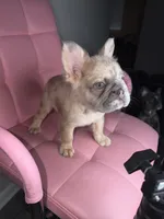 processed/4620103e-f89a-4298-af4c-58437d47d150/listing/c7da752e-d21e-4280-8ff3-3fc86e7e6fa0/64350eec-1113-4554-bbe3-5e92a3478c16