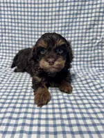 processed/462328a8-df88-441d-81e3-5dc4ee9e3d74/listing/d4c7de29-b720-4b63-9858-302b5bd757be/0d141f49-7cbd-42b1-8cfe-e20c097f1437