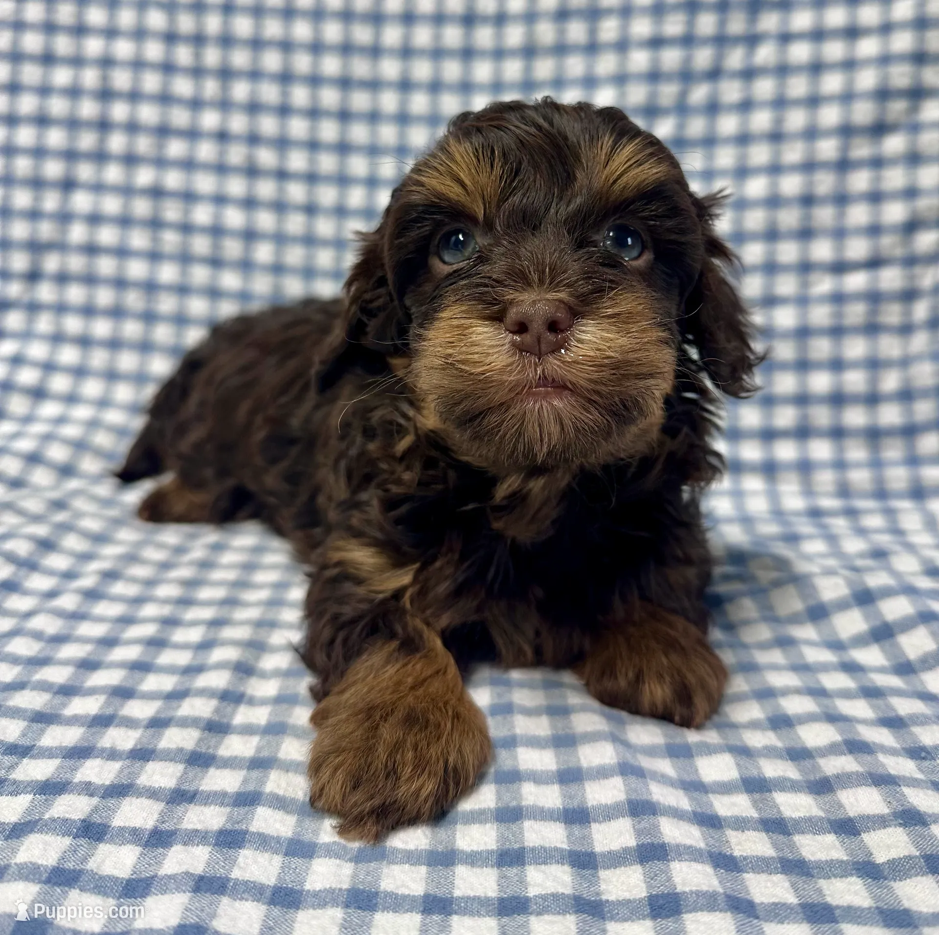 processed/462328a8-df88-441d-81e3-5dc4ee9e3d74/listing/d4c7de29-b720-4b63-9858-302b5bd757be/195c0758-f4fc-41d1-9bda-e3a02b049bf3