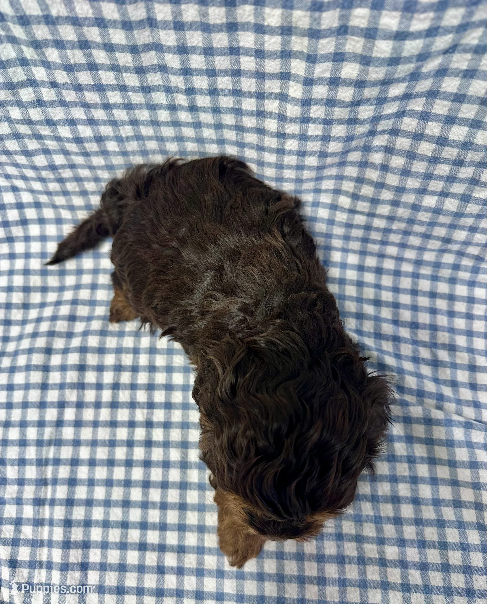 processed/462328a8-df88-441d-81e3-5dc4ee9e3d74/listing/d4c7de29-b720-4b63-9858-302b5bd757be/bc3d55fa-6062-4edb-9e28-3df8b14f5b58