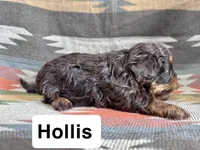 processed/462328a8-df88-441d-81e3-5dc4ee9e3d74/listing/d4c7de29-b720-4b63-9858-302b5bd757be/d9317271-d30d-4a66-b95a-d034908275f0