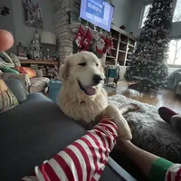 processed/462f3d09-0f96-4797-8734-057138279c53/facility/13e299ad-c53f-4444-984e-dc1d18a46239