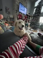 processed/462f3d09-0f96-4797-8734-057138279c53/facility/13e299ad-c53f-4444-984e-dc1d18a46239