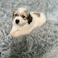 processed/462f3d09-0f96-4797-8734-057138279c53/facility/2e4763cc-26ab-4a75-8434-9cb61a0e2c95