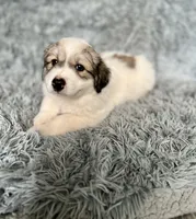 processed/462f3d09-0f96-4797-8734-057138279c53/facility/2e4763cc-26ab-4a75-8434-9cb61a0e2c95