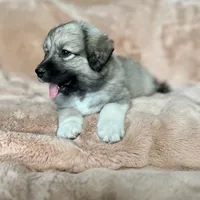 processed/462f3d09-0f96-4797-8734-057138279c53/facility/2e76bfaf-406d-4a03-a53d-948369437840