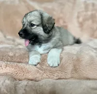 processed/462f3d09-0f96-4797-8734-057138279c53/facility/2e76bfaf-406d-4a03-a53d-948369437840