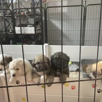 processed/462f3d09-0f96-4797-8734-057138279c53/facility/402af6a3-ae91-41c5-9ca0-289222c5a40f