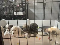 processed/462f3d09-0f96-4797-8734-057138279c53/facility/402af6a3-ae91-41c5-9ca0-289222c5a40f