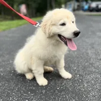 processed/462f3d09-0f96-4797-8734-057138279c53/facility/595dd229-dd45-443f-853d-7d4969779db5