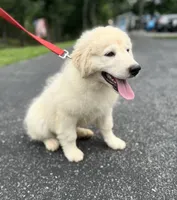 processed/462f3d09-0f96-4797-8734-057138279c53/facility/595dd229-dd45-443f-853d-7d4969779db5