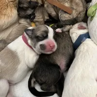 processed/462f3d09-0f96-4797-8734-057138279c53/facility/5f0aed45-27bd-413b-9134-72147bff16f9