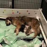 processed/462f3d09-0f96-4797-8734-057138279c53/facility/7635330d-8135-45f4-a4d4-ce7a21a95233