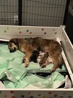 processed/462f3d09-0f96-4797-8734-057138279c53/facility/7635330d-8135-45f4-a4d4-ce7a21a95233