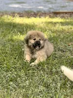 processed/462f3d09-0f96-4797-8734-057138279c53/facility/dd657147-84fa-4ea6-98b1-bda37eb14153