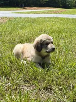 processed/462f3d09-0f96-4797-8734-057138279c53/listing/0292040f-9810-45b8-9a14-779d2b1d5d81/565ee0c8-d725-4b38-92b9-e19b8592b4cf