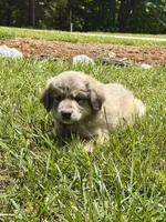 processed/462f3d09-0f96-4797-8734-057138279c53/listing/0292040f-9810-45b8-9a14-779d2b1d5d81/9ae0de7c-44a0-46ea-b551-77a3a7dbbb49