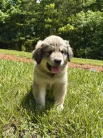 processed/462f3d09-0f96-4797-8734-057138279c53/listing/0292040f-9810-45b8-9a14-779d2b1d5d81/ba452804-690b-4216-af53-3c97bf72b7ed