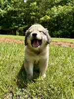 processed/462f3d09-0f96-4797-8734-057138279c53/listing/0292040f-9810-45b8-9a14-779d2b1d5d81/dc7ffe77-8653-472e-b976-991eb8736b99