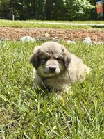 processed/462f3d09-0f96-4797-8734-057138279c53/listing/0292040f-9810-45b8-9a14-779d2b1d5d81/f8a42803-2eee-4ea4-b2be-b32176aed25f