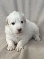 processed/462f3d09-0f96-4797-8734-057138279c53/listing/12eb7dc8-cf90-4a7f-aabd-623c2eb227a8/7984523d-f00a-4e60-ad68-be9a1759c201