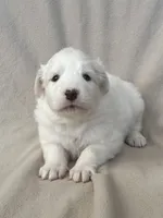 processed/462f3d09-0f96-4797-8734-057138279c53/listing/12eb7dc8-cf90-4a7f-aabd-623c2eb227a8/94466f31-9ea8-4df1-a983-3c9dacb7ad91