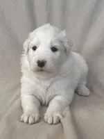 processed/462f3d09-0f96-4797-8734-057138279c53/listing/12eb7dc8-cf90-4a7f-aabd-623c2eb227a8/bbec7112-afe6-47d8-b81c-a25cb7f4daa3