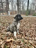 processed/462f3d09-0f96-4797-8734-057138279c53/listing/17740a94-cdb7-40b2-b48d-8304d1c47f81/90c99586-3e8c-48ae-9ced-bbacdf0941ff