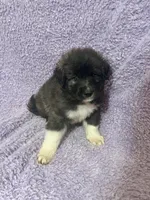 processed/462f3d09-0f96-4797-8734-057138279c53/listing/17740a94-cdb7-40b2-b48d-8304d1c47f81/ad705b60-4fe2-4f13-9adf-245a3bd78093