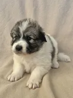 processed/462f3d09-0f96-4797-8734-057138279c53/listing/1f86e455-d483-4279-96c1-c71fce102fa7/02bd6da3-73f3-4d58-968c-54bc045472db