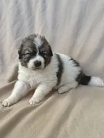 processed/462f3d09-0f96-4797-8734-057138279c53/listing/1f86e455-d483-4279-96c1-c71fce102fa7/1719ef0d-2f79-4d0a-a21e-17c07152e520