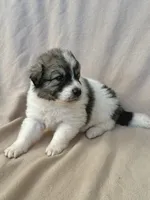 processed/462f3d09-0f96-4797-8734-057138279c53/listing/1f86e455-d483-4279-96c1-c71fce102fa7/adac79bc-fb18-4995-9748-b6ebdb6e5c35