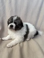 processed/462f3d09-0f96-4797-8734-057138279c53/listing/1f86e455-d483-4279-96c1-c71fce102fa7/d351e81d-1b35-4ce3-8d91-9d6257f1a1f9