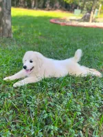 processed/462f3d09-0f96-4797-8734-057138279c53/listing/35548b65-a09c-4c7f-a719-37d4bbd4b5ba/74df6248-121b-45f0-b183-3a5774ef590b