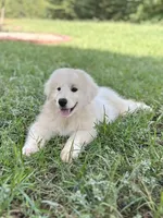 processed/462f3d09-0f96-4797-8734-057138279c53/listing/35548b65-a09c-4c7f-a719-37d4bbd4b5ba/e536d716-edc6-417c-94fd-54d8110dea13