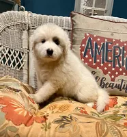 processed/462f3d09-0f96-4797-8734-057138279c53/listing/35548b65-a09c-4c7f-a719-37d4bbd4b5ba/f278836f-a7fb-46ec-8111-18ca09d07693