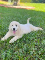 processed/462f3d09-0f96-4797-8734-057138279c53/listing/35548b65-a09c-4c7f-a719-37d4bbd4b5ba/f40af514-ea27-462d-bb11-f7c09a432538