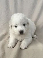 processed/462f3d09-0f96-4797-8734-057138279c53/listing/386e543f-69cc-43d9-857e-14b93d70a457/f29d0024-0e7f-4402-b0e7-dff7d2b38886