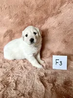 processed/462f3d09-0f96-4797-8734-057138279c53/listing/3b493ad6-d104-42cd-a25f-af3591fbdbe8/0f42efcb-20b3-4e5d-91ea-65d741b0ae22