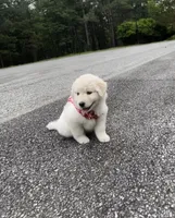 processed/462f3d09-0f96-4797-8734-057138279c53/listing/3b493ad6-d104-42cd-a25f-af3591fbdbe8/312e1634-4f6c-4606-9506-8287d7a25964