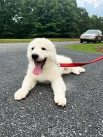 processed/462f3d09-0f96-4797-8734-057138279c53/listing/3b493ad6-d104-42cd-a25f-af3591fbdbe8/d1b6e40b-615a-474b-9082-183c9b6edb60