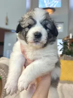 processed/462f3d09-0f96-4797-8734-057138279c53/listing/45b00e7c-fb8e-4d8f-a062-055e86c32d95/86fe0194-39b9-499a-99f4-c492cd1df548