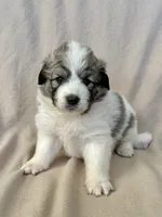 processed/462f3d09-0f96-4797-8734-057138279c53/listing/45b00e7c-fb8e-4d8f-a062-055e86c32d95/ed9ebe86-03db-4fe3-a8f3-e8598bf5a824