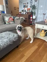 processed/462f3d09-0f96-4797-8734-057138279c53/listing/48ce84ac-7d55-4fdc-8cb4-cf1240867af0/13d39611-c110-40a9-8053-33d9dad76990