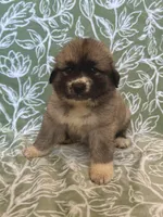 processed/462f3d09-0f96-4797-8734-057138279c53/listing/48ce84ac-7d55-4fdc-8cb4-cf1240867af0/23f5fe81-abb9-4e5f-a0db-8830ce7dd35b